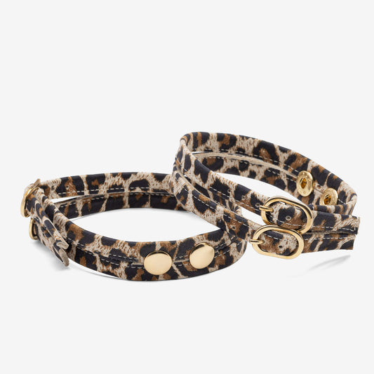 Panterka podwójny pasek